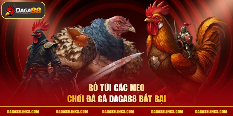 Bỏ túi các mẹo chơi đá gà daga88 bất bại