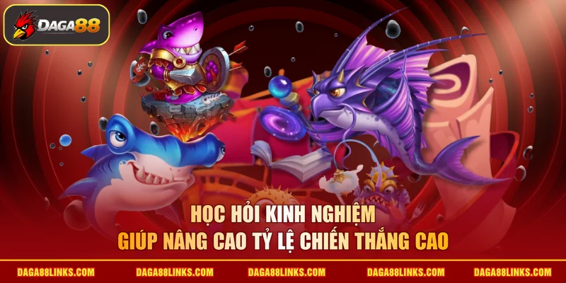 Học hỏi kinh nghiệm giúp nâng cao tỷ lệ chiến thắng cao
