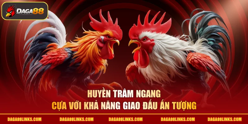 Huyền trâm ngang cựa với khả năng giao đấu ấn tượng