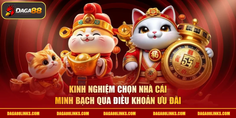 Kinh nghiệm chọn nhà cái minh bạch qua điều khoản ưu đãi