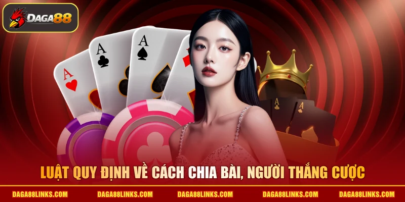 Luật quy định về cách chia bài, người thắng cược