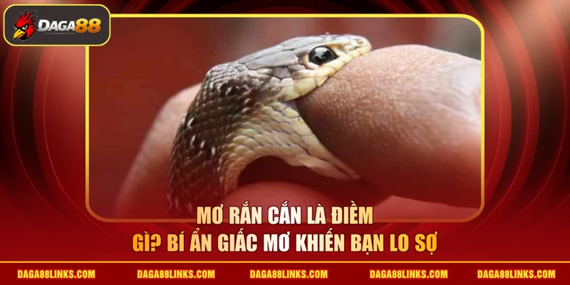mơ rắn cắn là điềm gì