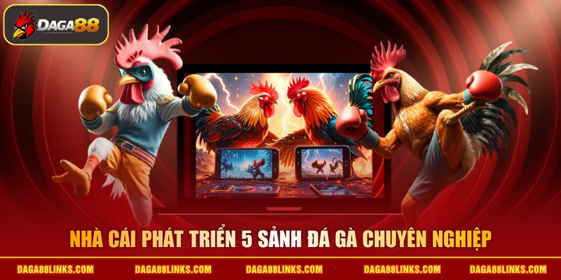 Nhà cái phát triển 5 sảnh đá gà chuyên nghiệp