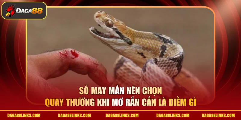 Số may mắn nên chọn quay thưởng khi mơ rắn cắn là điềm gì