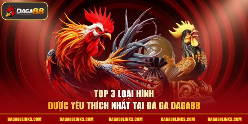 Top 3 loại hình được yêu thích nhất tại đá gà daga88