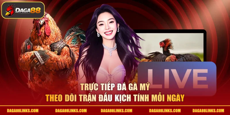 trực tiếp đá gà mỹ