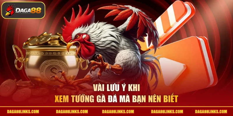 Vài lưu ý khi xem tướng gà đá mà bạn nên biết